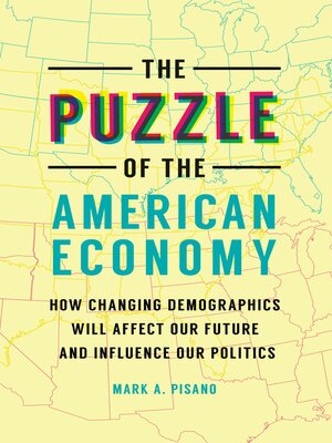 cover image of The Puzzle of the American Economy